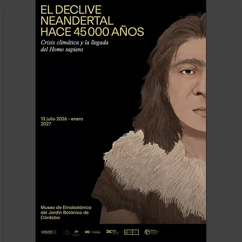 Imagen de Exposición ‘EL DECLIVE NEANDERTAL HACE 45000 AÑOS’